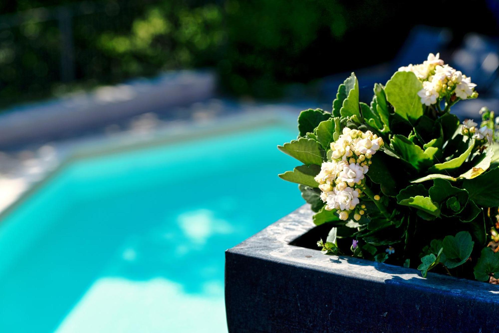 Viavai Bed and Breakfast Casalborgone Εξωτερικό φωτογραφία
