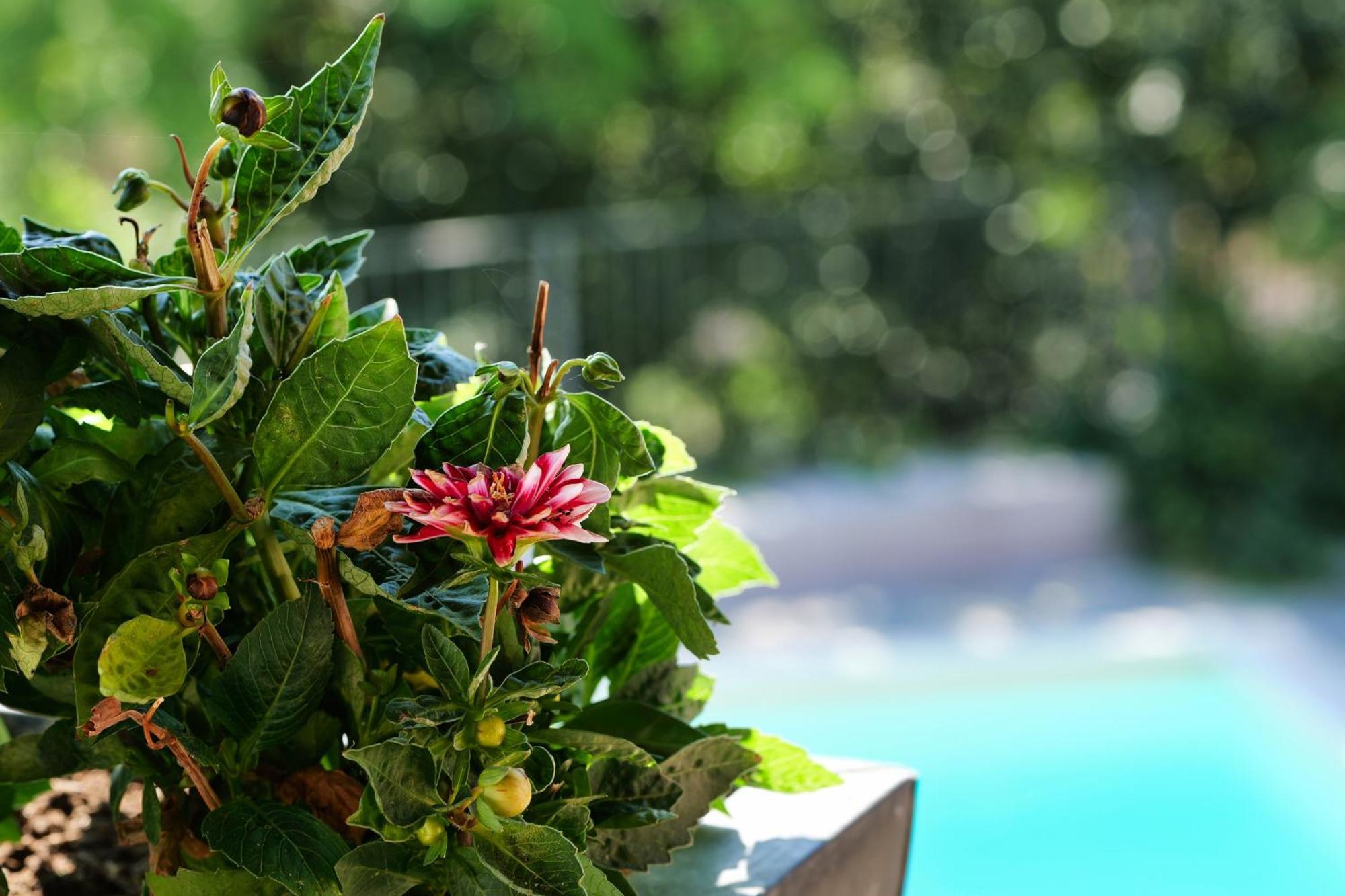 Viavai Bed and Breakfast Casalborgone Εξωτερικό φωτογραφία